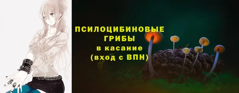 Галлюциногенные грибы Magic Shrooms  магазин продажи   Ивантеевка 